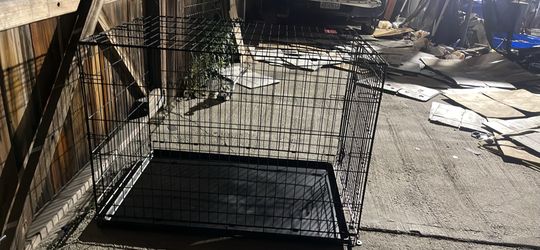 Foldable Dog Crate/Jaula Plegable Para Perros