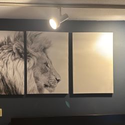 Lion Canvas Art