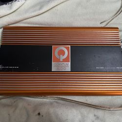 Quantum Audio Mono Amplifier