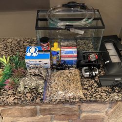 Perfect 10gal Fish Tank Setup