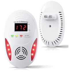 Carbon Monoxide Detector 