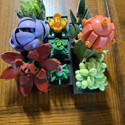 lego succulents set 
