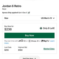 Jordan 6 Aqua Size 13 