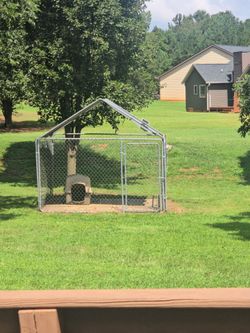 Chain link dog kennel with the roof frame