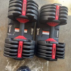 Adjustable Dumbells