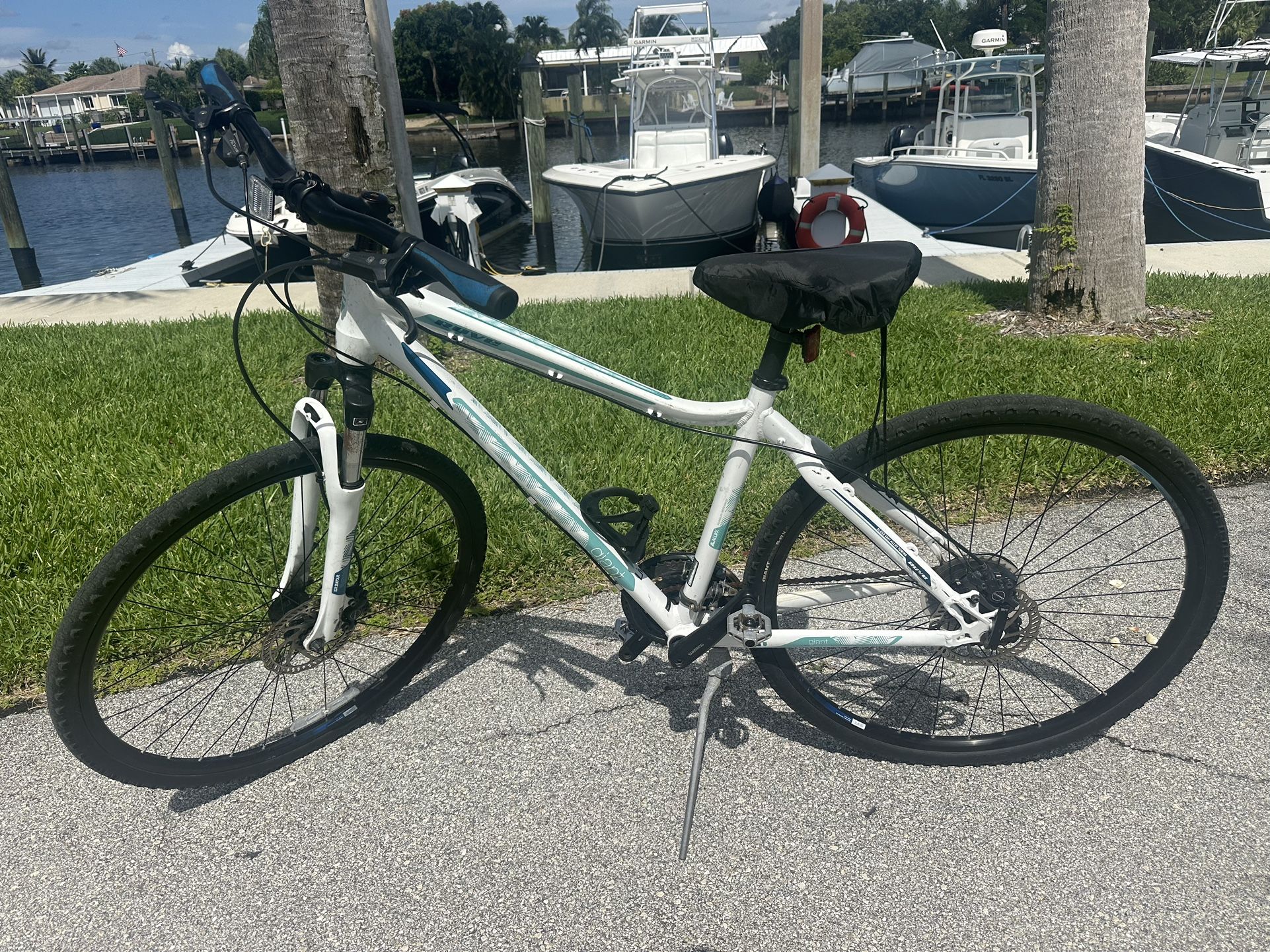 29” Live Giant Bike Great Condition