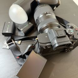 Sony A7 IV body Tamron 28-75mm  NEEWER Z2PRO-S 2 2 Sony batteries 2 SD cards