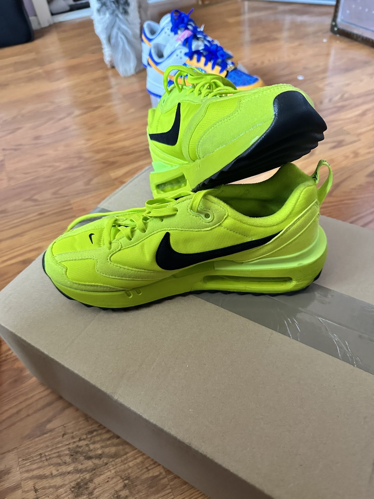 Nike Shoe