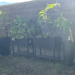 Self Watering Planter With Plants