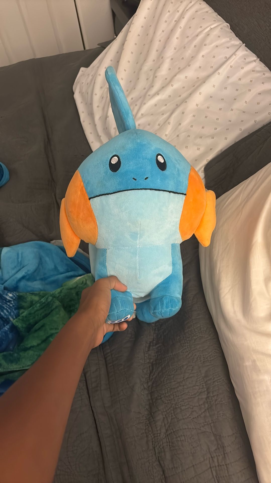 Pokémon Plushy