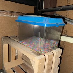 Small Aquarium / Fish Tank w Gravel & Lid (Used)
