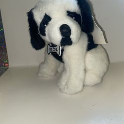 Big dogs black white little big dog