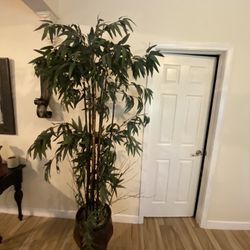 Decoré