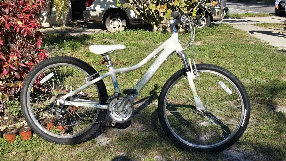 2010 Giant Areva 24" Mountain Bike