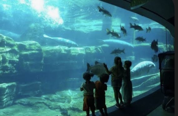 SeaWorld!!!!!and More!!!