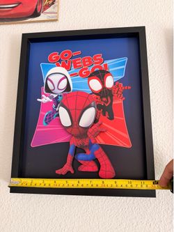 Spidey frame