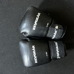 14 Oz Boxing Gloves 