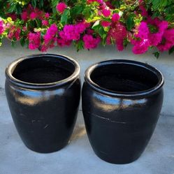 Garden Decorations