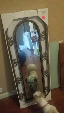 Mirror