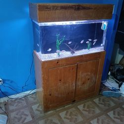 40 Gallon Acrilic Tank 