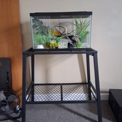 10 Gallon Fish Tank