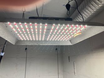 LED hydroponic grow lights,