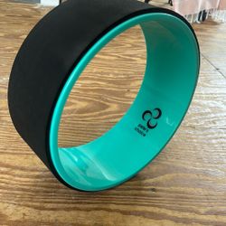 Workout Exercise wheel 