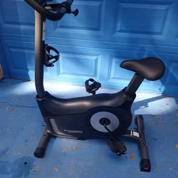Schwinn Journey Upright Exercise Bike