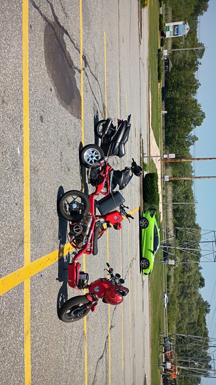 Icebear Maddog 50cc
