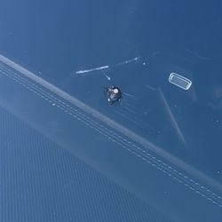 Windshield 