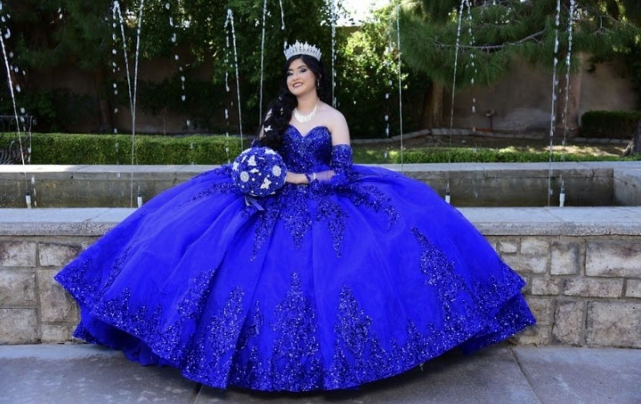 Quince Royal Blue Dress