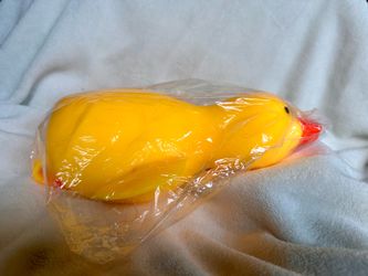 🫧🦆Big Duck Squishy🦆 🫧