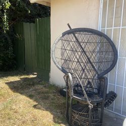 Peacock Chair