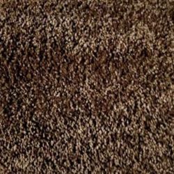 Beautiful Soft Carpet (Cost Over 1K)