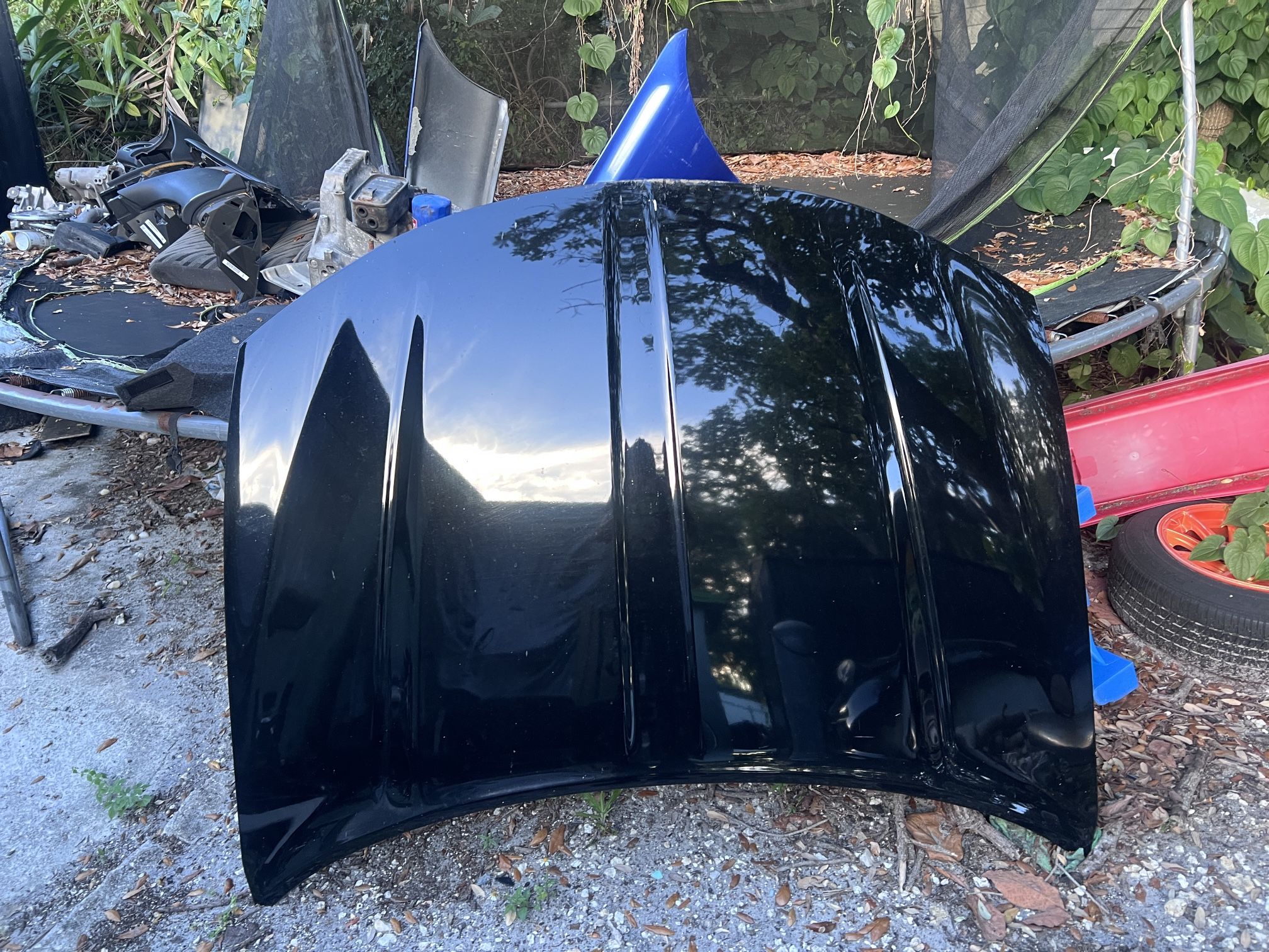 Charger Hood