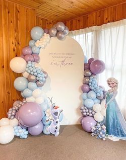 Frozen balloon set up