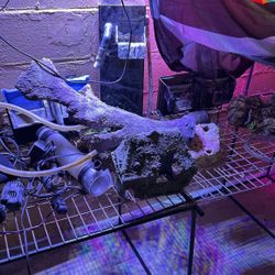Saltwater Aquarium Equipment 