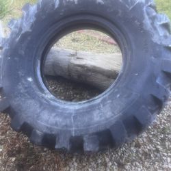 Tractor Tire CrossFit Spartan Dog Toy Free
