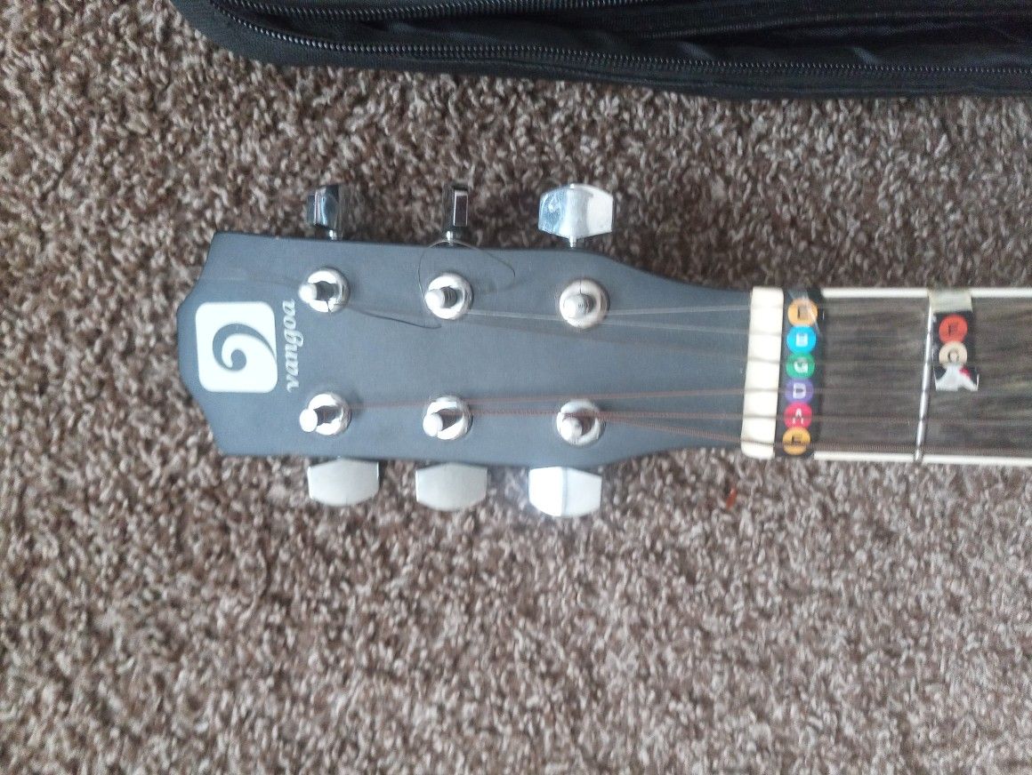 Acoustic Electric Guitar