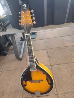 Mandolin musical instrument