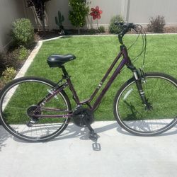 Girls Giant Liv Flourish 1 Bike Small Size