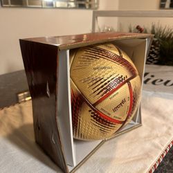 World Cup Soccer Ball