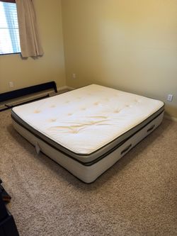 Avocado Certified Organic Mattress – California King, Medium-Firm
