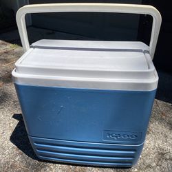 Igloo 11 Qt Tag Along Too Strapped Picnic Style Cooler