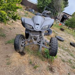 Kawasaki Quad