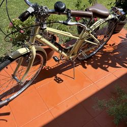 Cruiser Bike