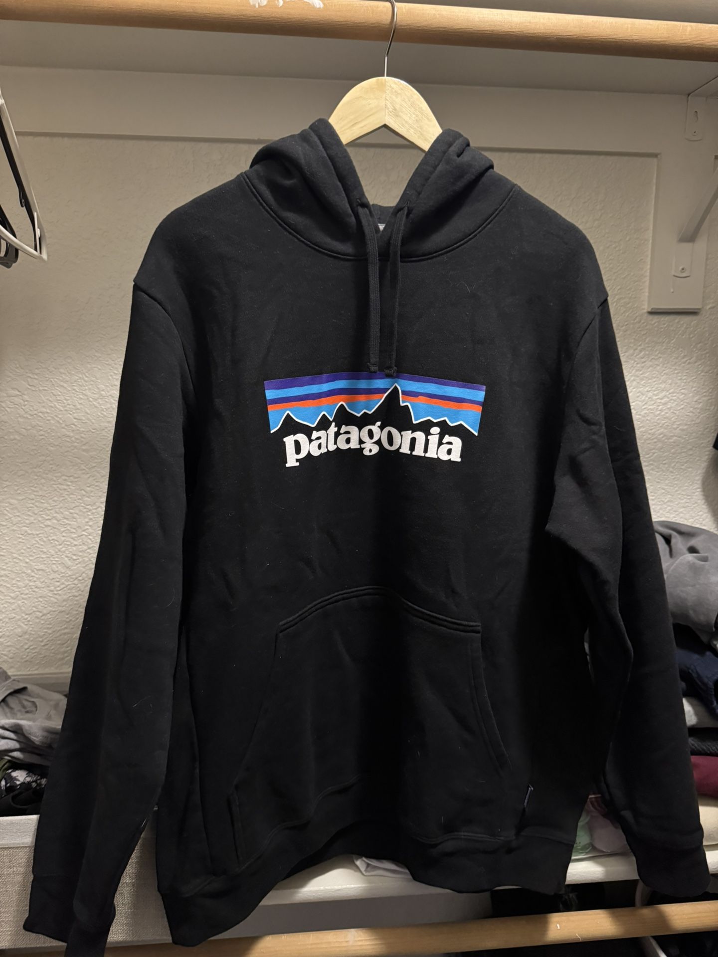 Patagonia Hoodie
