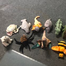 TY  Beanie Babies