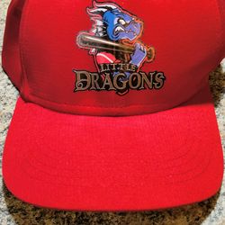 Child little Dragon cap