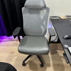 Ergonomic Chair